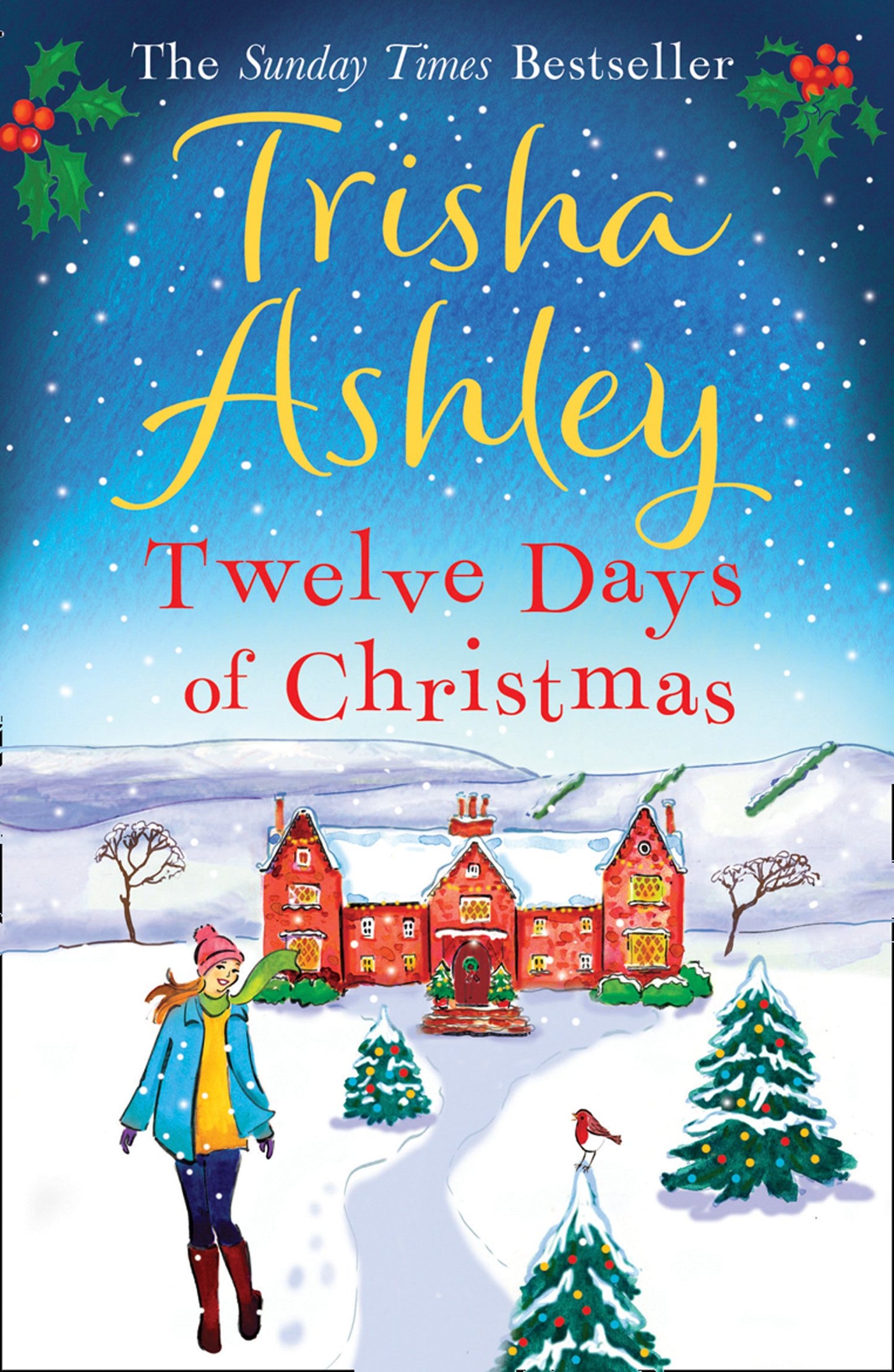 🎄 Twelve Days of Christmas – Digital E-Book (Instant Download)